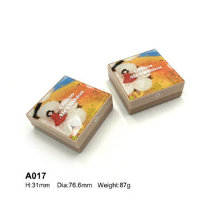 square air cushion case with cartoon top plate